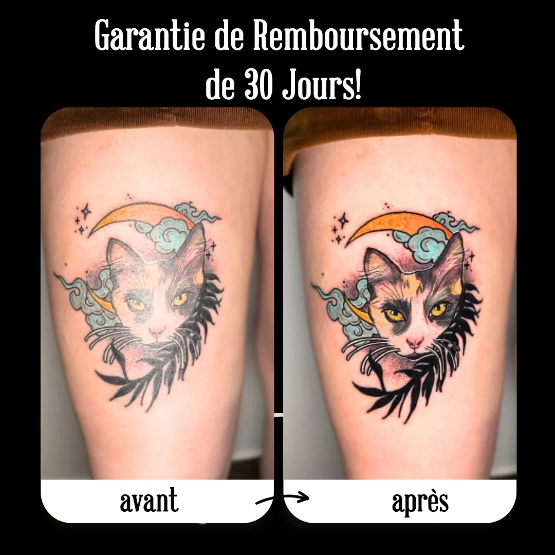 Ensemble de lumières "Photos De Tatouage Parfaites"